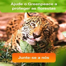 greenpeace